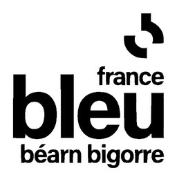 Logo Fr Blue Bearn